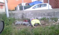 Picture of aulet