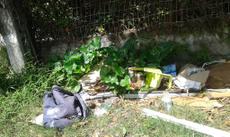 Picture of aulet