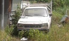 Picture of aulet