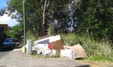 Picture of aulet
