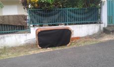 Picture of aulet