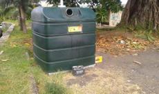 Picture of aulet
