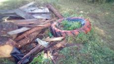 Picture of aulet