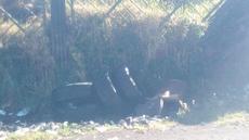 Picture of aulet