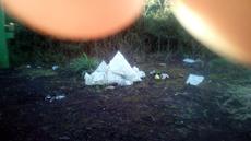 Picture of aulet