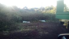 Picture of aulet