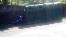 Picture of aulet
