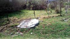 Picture of aulet