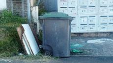 Picture of aulet
