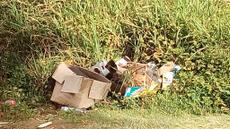 Picture of aulet