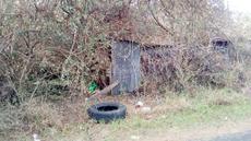 Picture of aulet