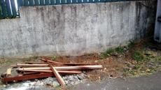 Picture of aulet