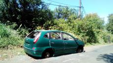 Picture of aulet