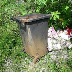 Picture of aulet