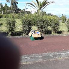 Picture of aulet