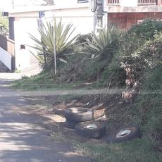 Picture of aulet