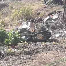 Picture of aulet