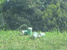 Picture of Ti Tang'