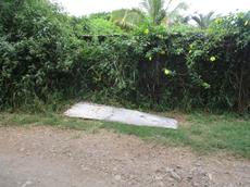 Picture of Ti Tang'