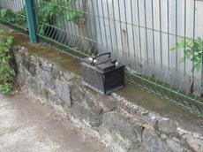 Picture of Ti Tang'