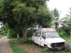 Picture of Ti Tang'