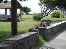 Picture of Ti Tang'