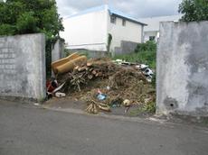 Picture of Ti Tang'