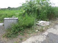 Picture of Ti Tang'