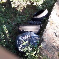 Picture of aulet