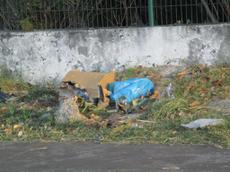 Picture of Ti Tang'