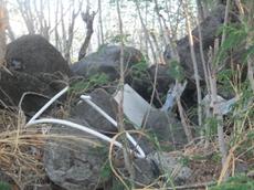 Picture of Ti Tang'