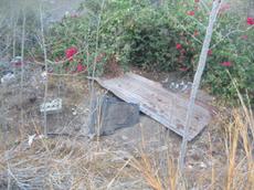 Picture of Ti Tang'