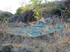 Picture of Ti Tang'