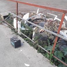 Picture of aulet