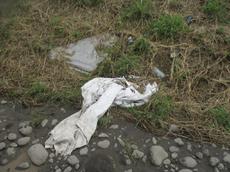 Picture of Ti Tang'