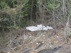 Picture of Ti Tang'