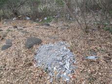 Picture of Ti Tang'