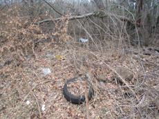 Picture of Ti Tang'
