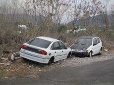 Picture of Ti Tang'