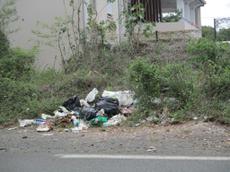 Picture of Ti Tang'
