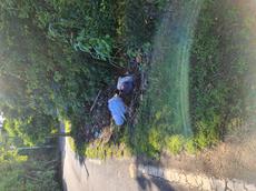 Picture of Depollutrix