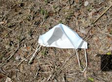 Picture of Ti Tang'