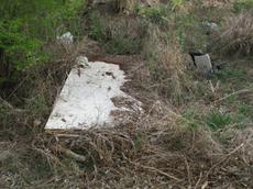 Picture of Ti Tang'