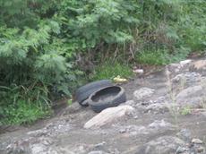Picture of Ti Tang'