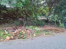 Picture of Depollutrix
