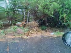 Picture of Depollutrix