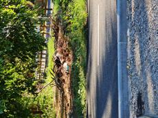 Picture of Depollutrix