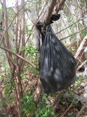 Picture of Ti Tang'