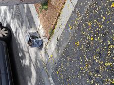 Picture of Depollutrix