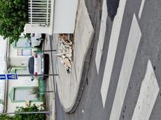 Picture of Depollutrix